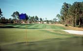 Golf and more GOLF!!