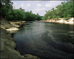 Suwannee River Ocala Florida