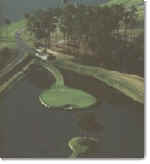 17th at the TPC in Ponte Vedra Beach