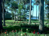 Ormond_Beach
