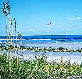 Daytona Beach and Flagler Beach Real Estate