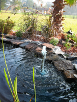 brandon_miller_pond_tallahassee.png (1692146 bytes)