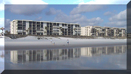 Sand Dollar St Augustine Florida Condominiums Vacation Rentals